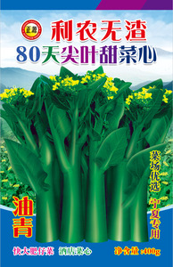 利农无渣80天尖叶甜菜心