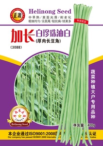 白珍珠油白豆角（3088）