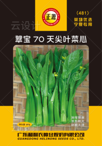 翠宝70天尖叶菜心500g