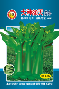 正源大种80天菜心400g