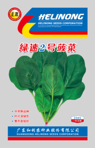 绿速2号菠菜（2501）