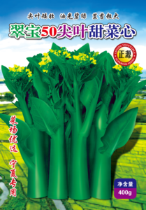 翠宝50尖叶甜菜心（2123）